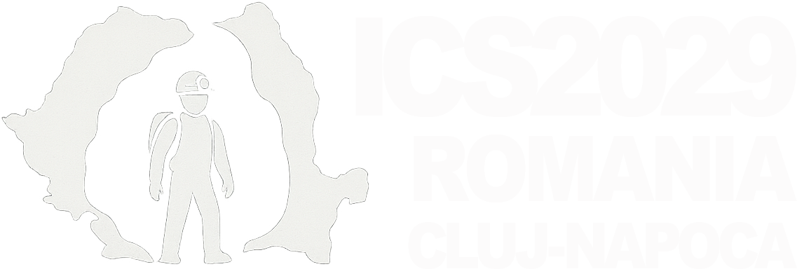 ICS2029 Logo